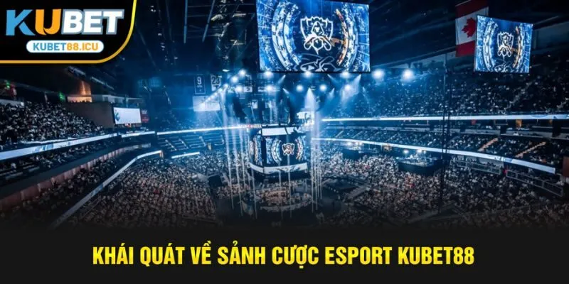 Khái quát về sảnh cược esport kubet88